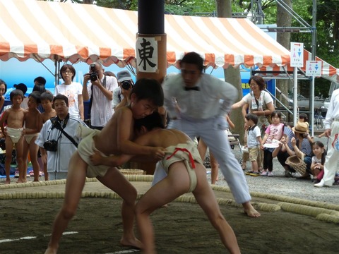 hassakusumo