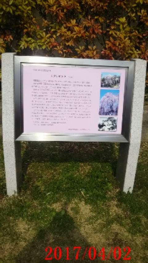 20170402_看板１
