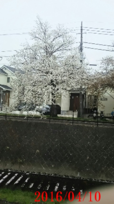 20160410_180727
