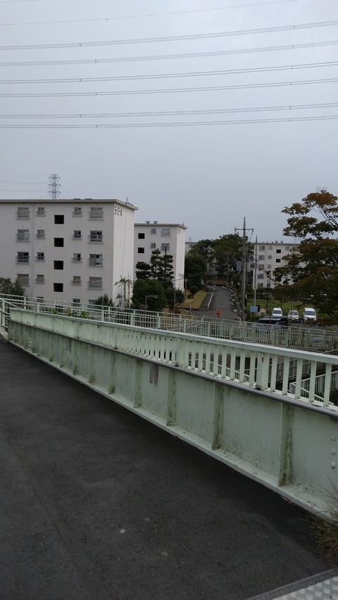 DSC_1159