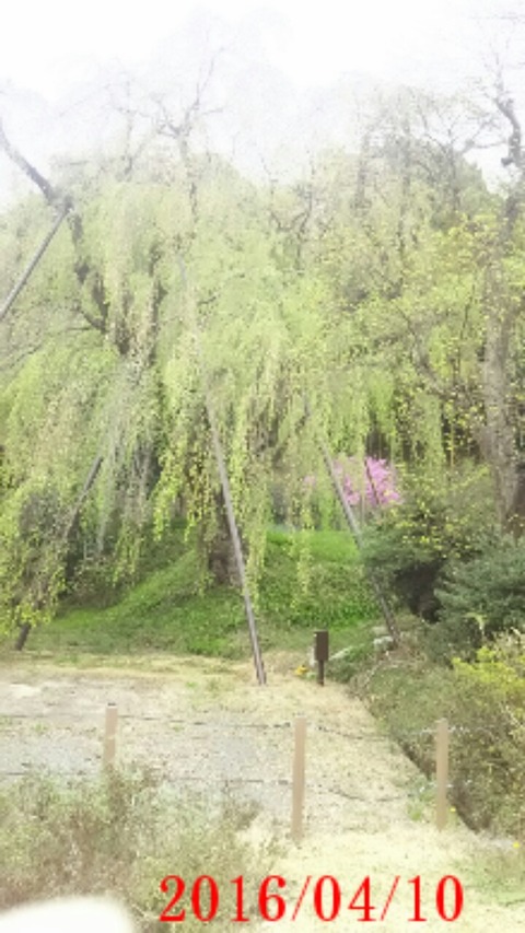 20160410_180313