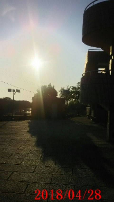 ⑧今日の早朝散歩終着駅Rising Sunに迎えられる