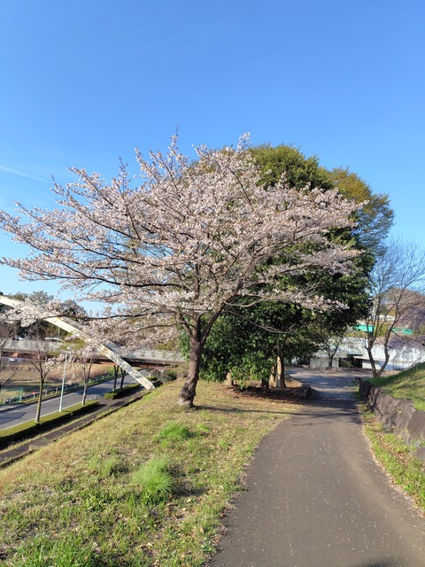 260403161344017