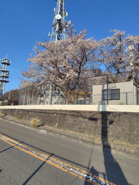 260403162139864
