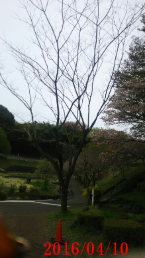 20160410_180955