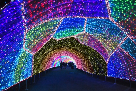circle_image5