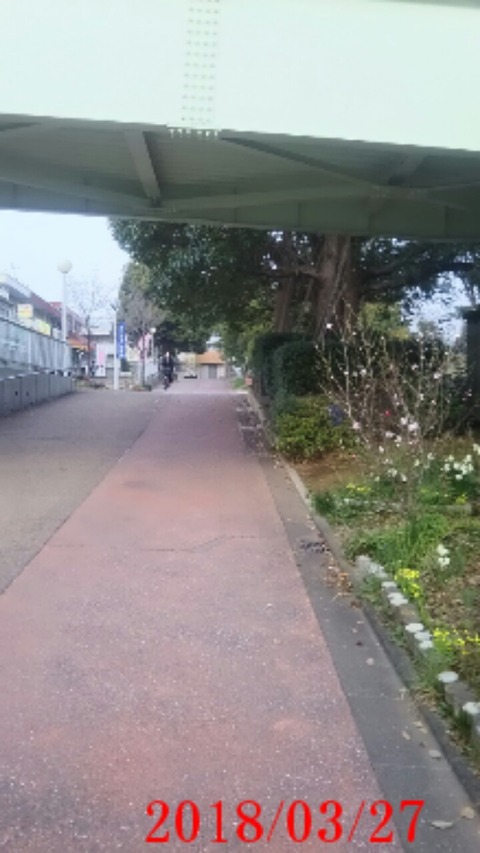 23諏訪商店街
