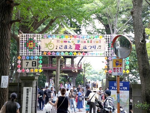 1756428484_photo