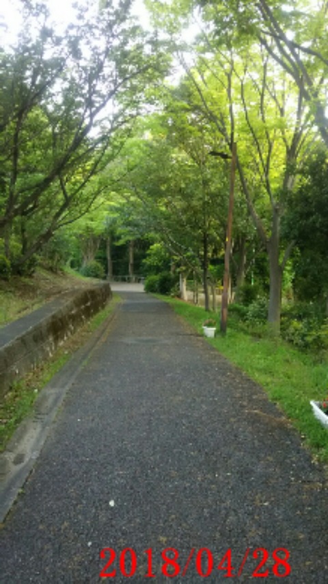 ⑥聖ヶ丘遊歩道