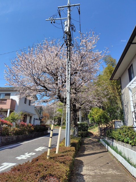 260403133709025