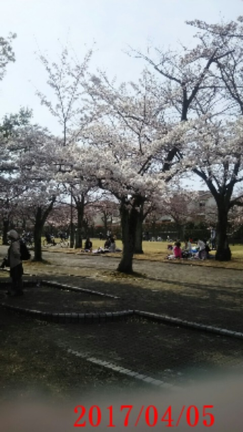 20170405_公園５