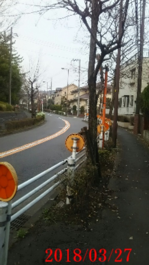 31地元バス通り