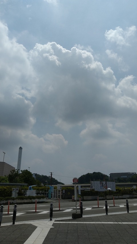 DSC_1098