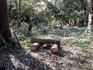 221015富士見ベンチ