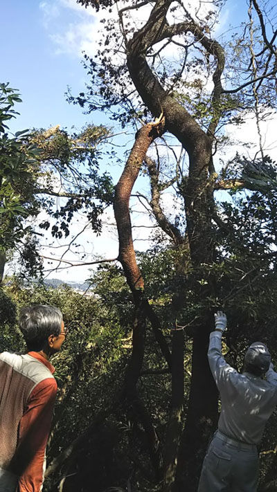 1909被害山頂