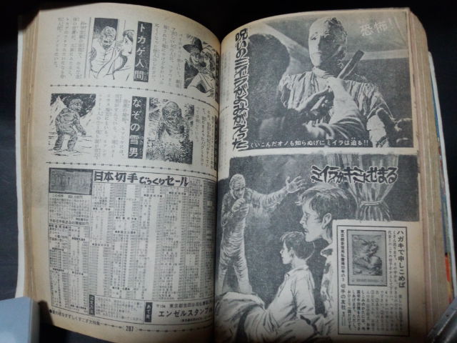 イメージ 11