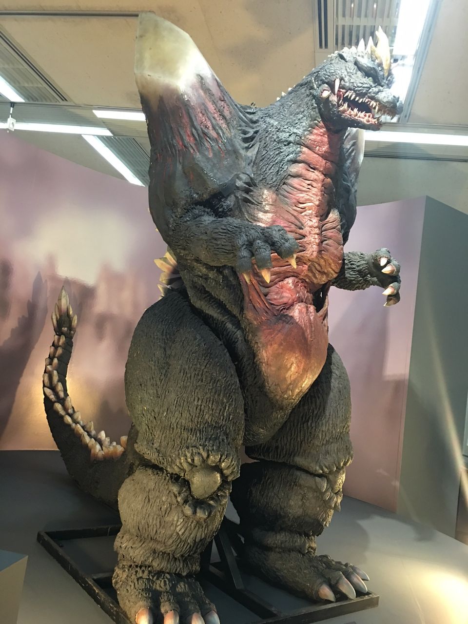 イメージ 5