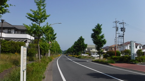 DSCF2822