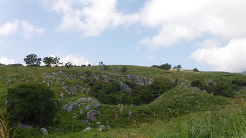 DSCF0102