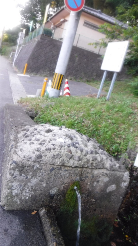 DSCF0146
