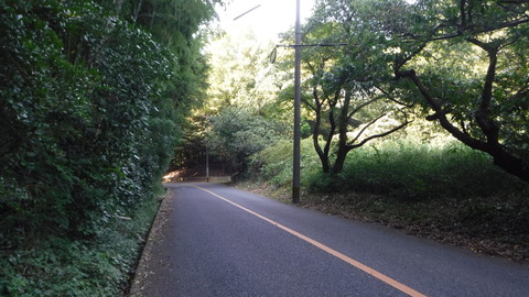 DSCF0135