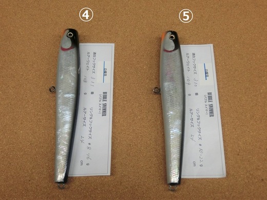 CIMG7585 (3)