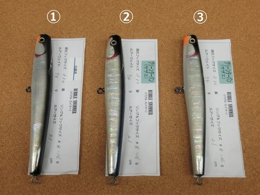 CIMG7587 (3)