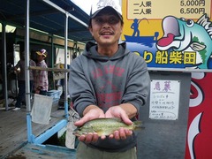 IMGP7682
