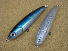 IMGP7953