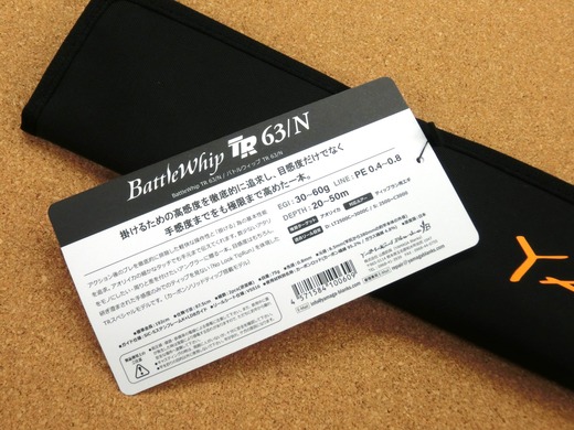 CIMG9231