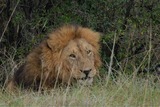 IMG_8724
