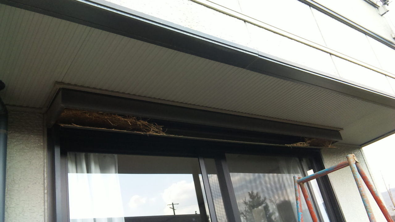 電動シャッターが動かない 原因は もりもり通信 ゼンオウ建工