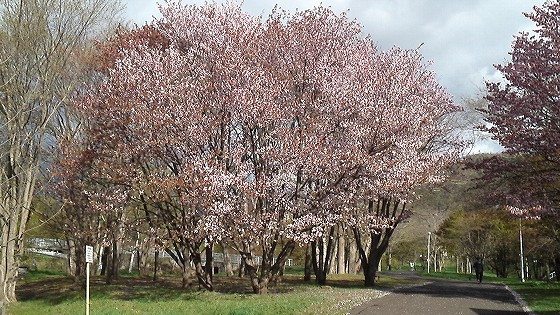 201305210639