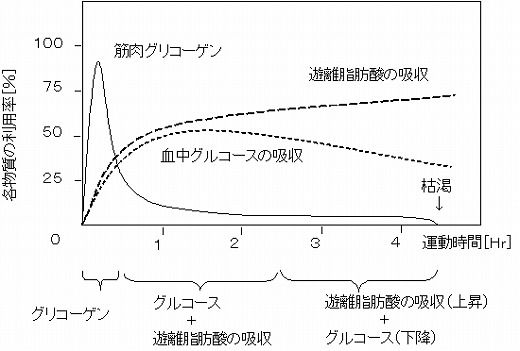 酸素同位体比年輪年代法