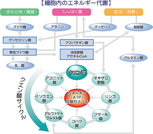 moromi-su1[1]