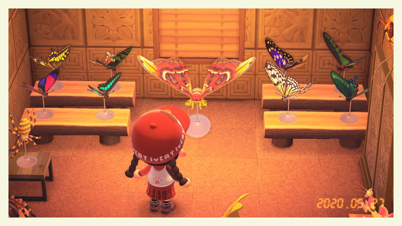 あつ森 みけねこ島生活日誌 66日目 年5月27日 三毛猫遊戯備忘録