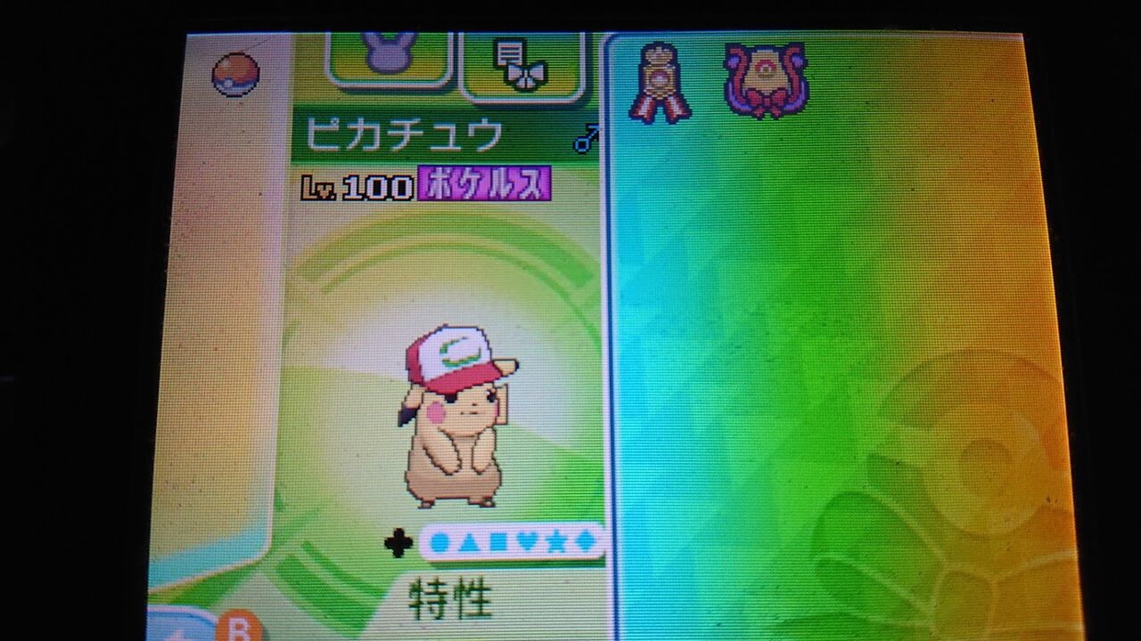 ピカチュウ ずっとここでお留守番の可能性たかし君なサトピカちゃん 三毛猫遊戯備忘録 ピカチュウ ずっとここでお留守番の可能性たかし君なサトピカちゃん 三毛猫遊戯備忘録