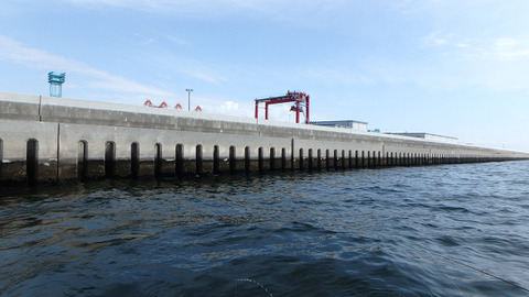 resize8453