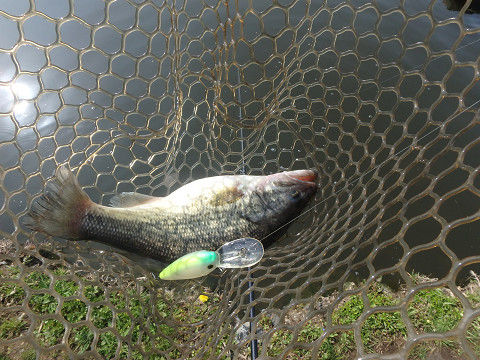 シマノ エクスプライド 163ml G インプレ C調パラダイス