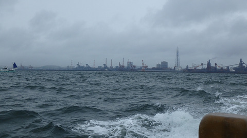 resize8639