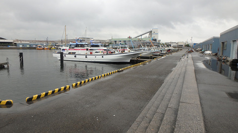 resize8632