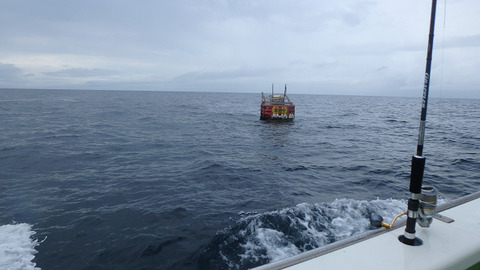 resize8581