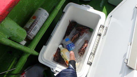 resize8454