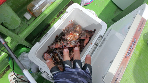 resize8459