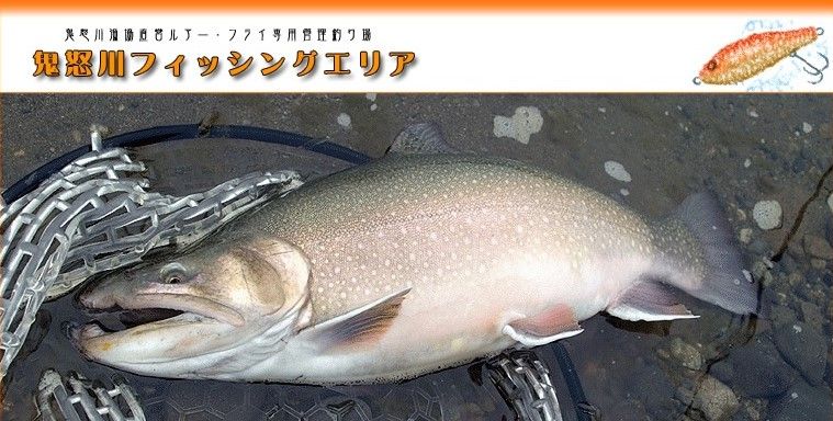 フルキャスト エリアトラウト C調パラダイス フルキャスト エリアトラウト C調パラダイス