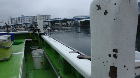 resize8603