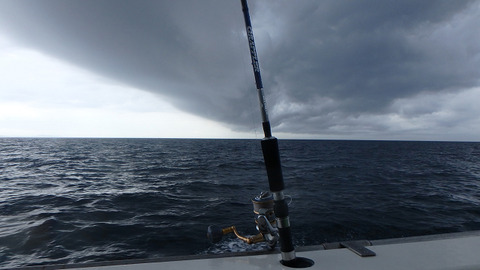 resize8597