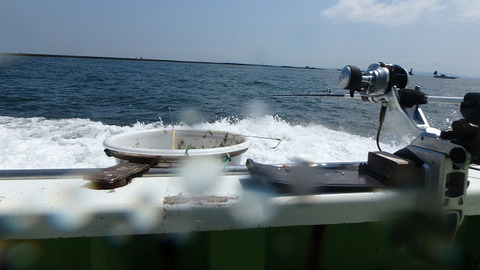 resize8791