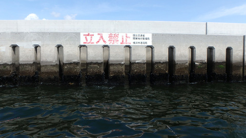resize8455