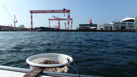 resize8784